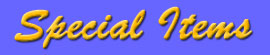Special Items
